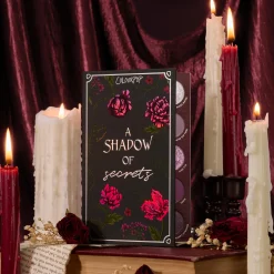 A Shadow of Secrets
