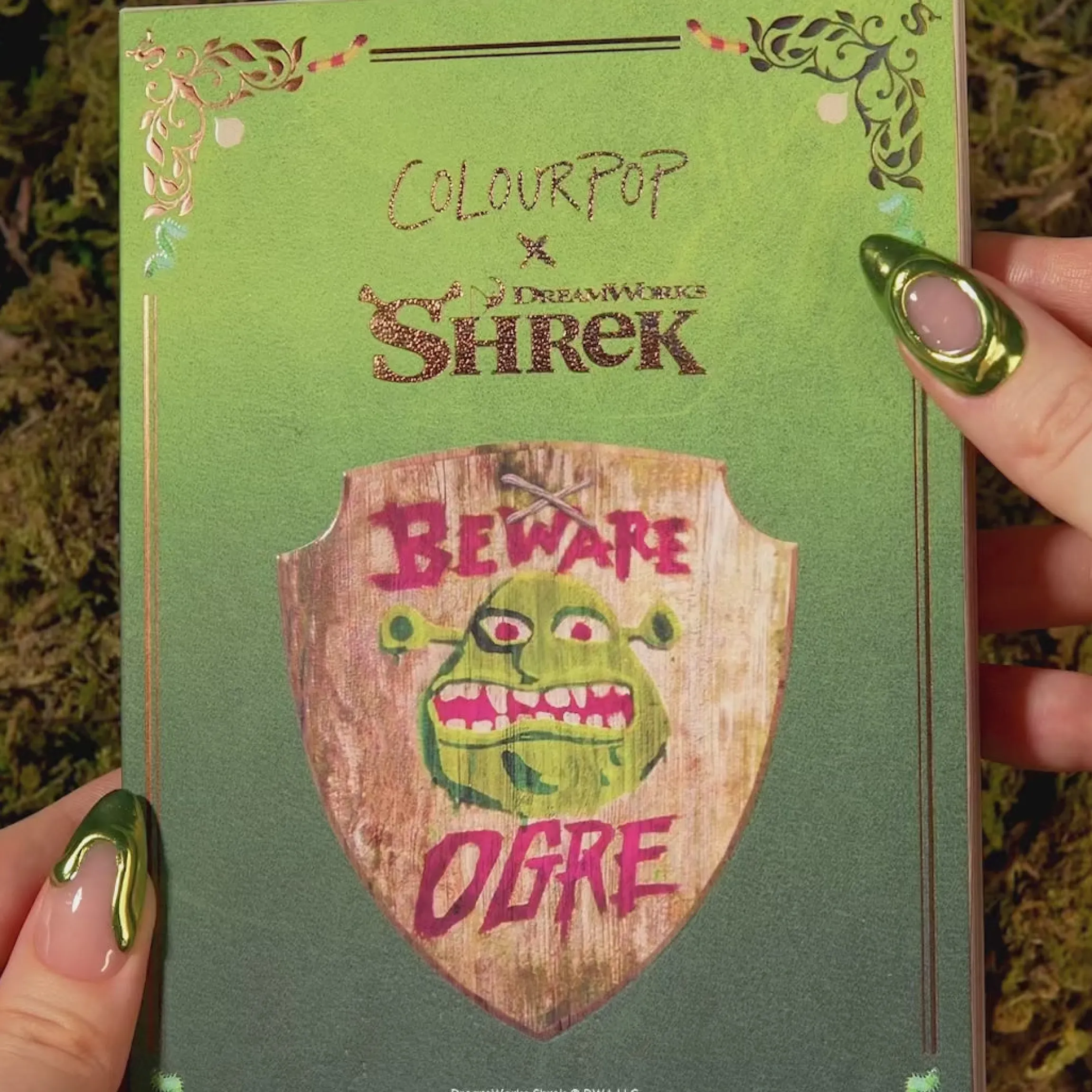 Beware Ogre