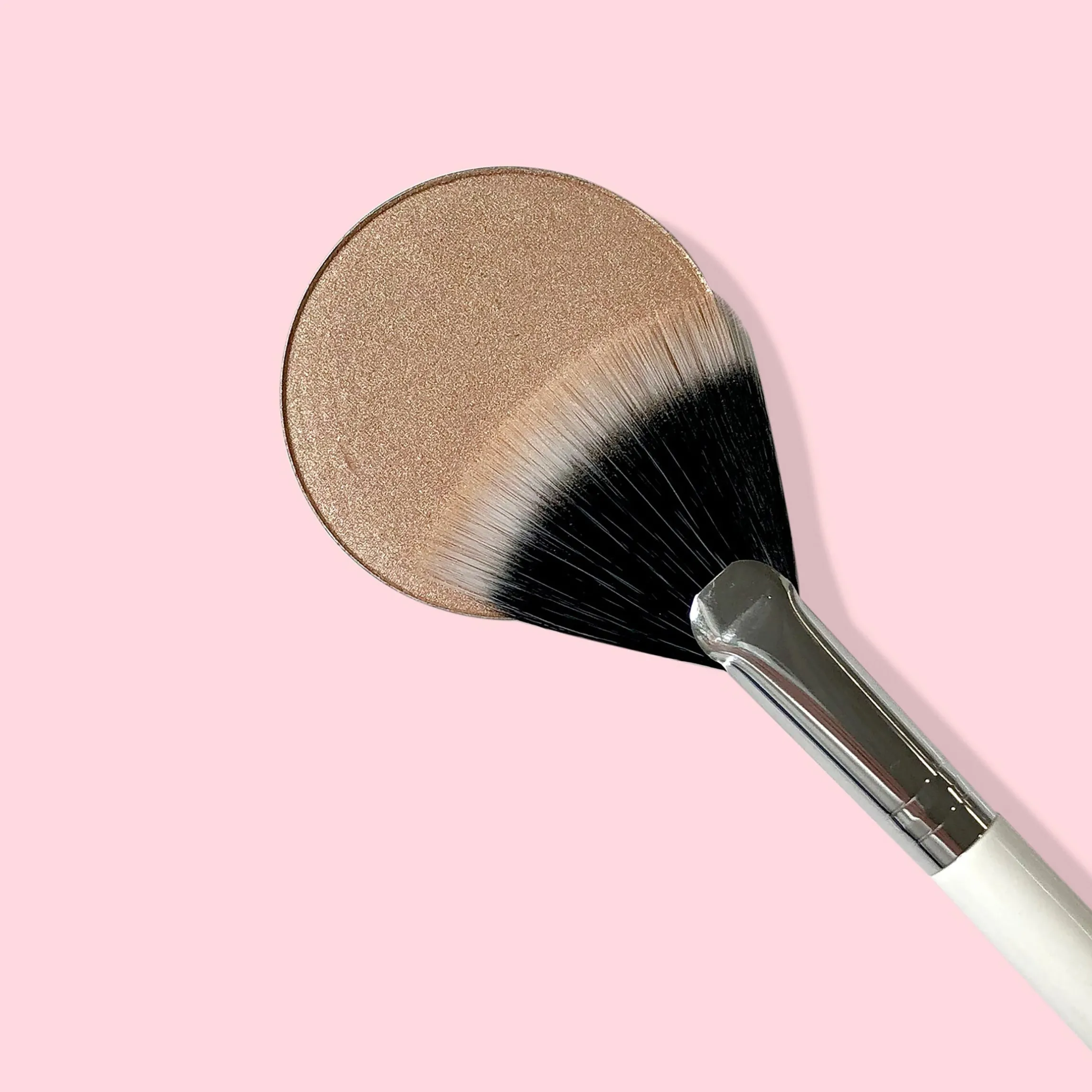 Fan Brush