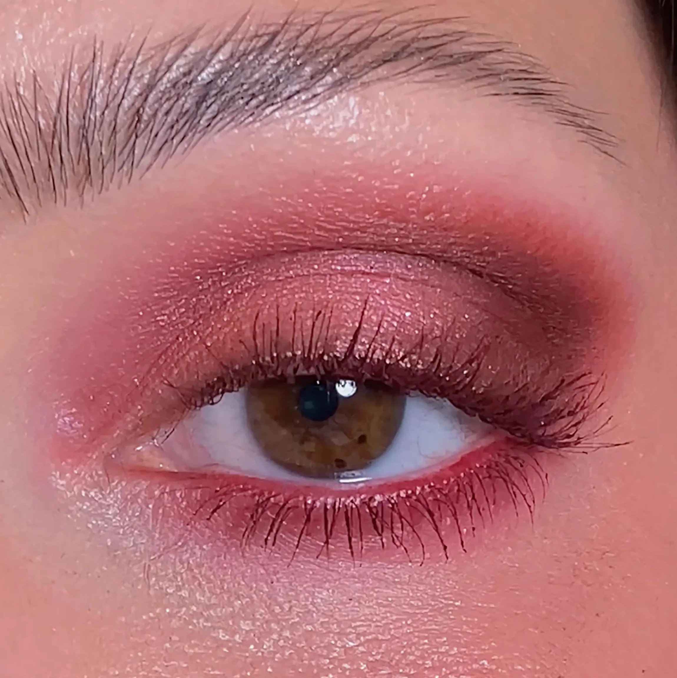 9-Pan Palette
