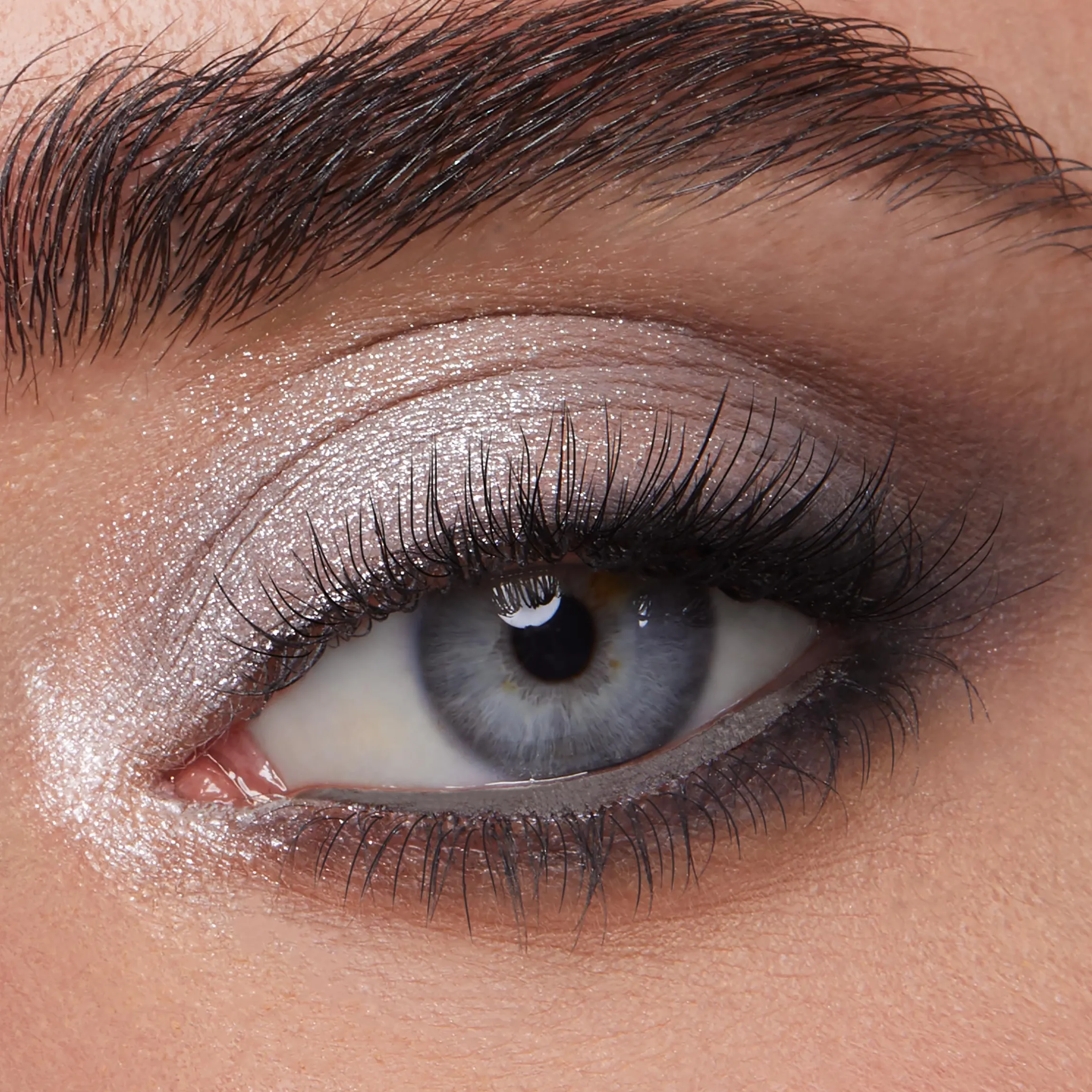 Shadow Palette & Brush Set