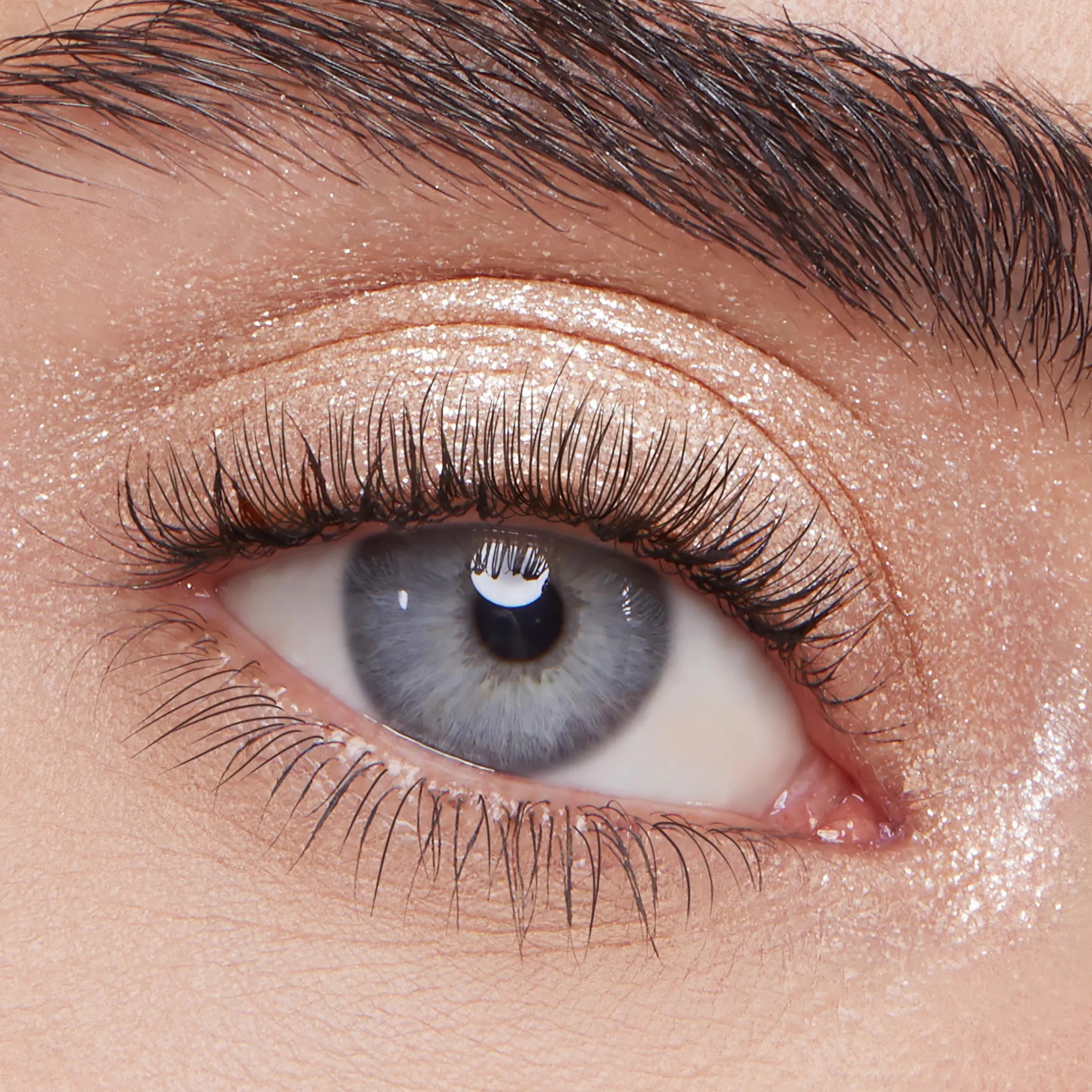 Super Shock Shadow